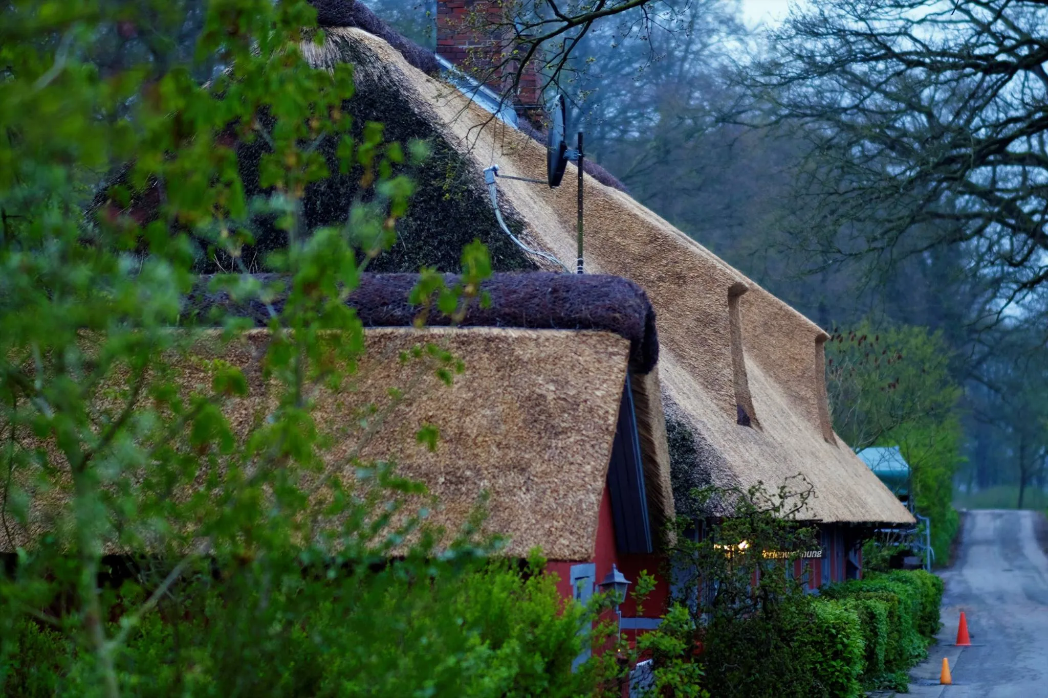 Autor: © Korneli Nastas. Alle Rechte vorbehalten