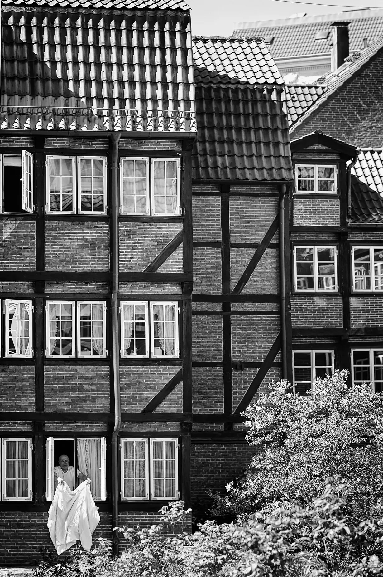 Autor: © Korneli Nastas. Alle Rechte vorbehalten.